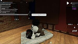 Cheating BBC Passion