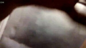 Sister Sucking My Dick