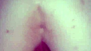 i love black bulls bunny ravishing ray main bunny