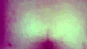 i love black bulls bunny ravishing ray main bunny