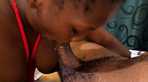 Feeling the rush as I suck my stepbrother's big cock at home - mastermeat1.