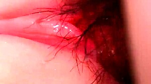 no condom cock in the ass with toys and handjob