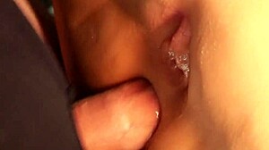 Cute Shaved Doll Gets Ass Poked Deeply