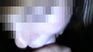 Mega compilation blowjobs massive cumshots?