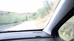 Looking for a place in the woods