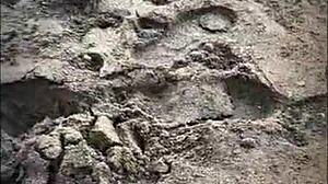 beautiful stranger gives me a blowjob on the public beach