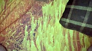 he massages my legs and begs for my pussy