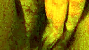 opening my virgin wet pussy for submissive licking