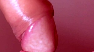 watch this close-up blowjob end with cum in her mouth