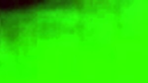 Boy receives intense blowjob from sexy shemale on ass