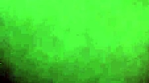 Young Girl Says, Take My Big Black Cock!