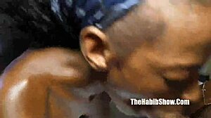 Safari Tiger Overwhelmed by BBC Gangbang in Wild Nut Session