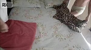 hey, why did maduro lie to share a bed with vizita?