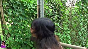 Petite Teen Practices Boxing And Sucks Neighbor's Cock