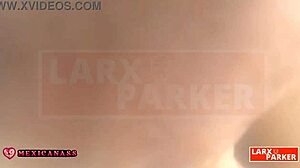 Kassandra Shows Her Wet Pussy And Anus In Virtual Casting