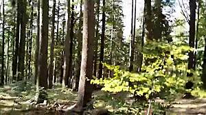 Solo Shemale Ladyboy Engages In Glasswork Porn On Road.