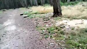 Solo Shemale Ladyboy Engages In Glasswork Porn On Road.