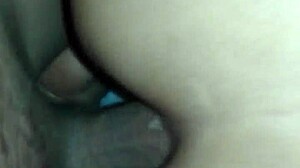 su primer video anal moaning and getting that ass hardcore fucked 😍