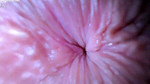 Doctor checks temperature with tongue in ass