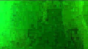 Allison Loves Bareback Blowjobs And Swallowing Cum!