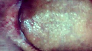 Cumming in the little ass doggystyle! 😍