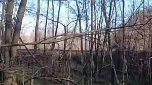 I would like to go shopping with you, and in the end, I will be very grateful to you.