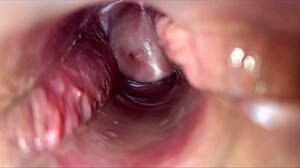 I experenced a pulsating orgasm inside my vagina