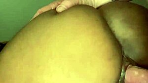 White Cock Jiggles Ebony Milf Ass Hard