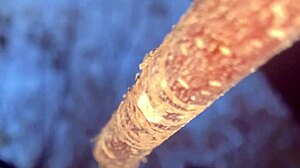 Witch's Outdoor Creampie With Monster Cock