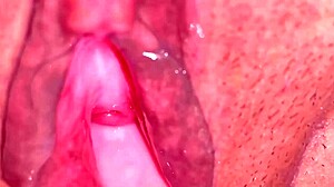 Pink Pussy Fucked Hard After 113 Days