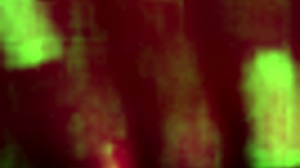 the beautiful yaira and her girlfriend relax at home