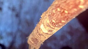 Witch's Outdoor Creampie With Monster Cock