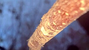 Witch's Outdoor Creampie With Monster Cock