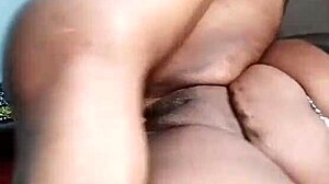 nigarchrist update 1437 petal jun 17 2025