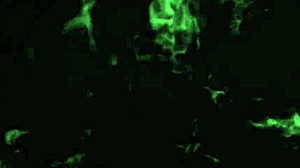 Minha vizinha loirinha era uma f� eu n�o sabia fodi gostoso a bucetinha rosada dela enquanto o marido estava no trabalho