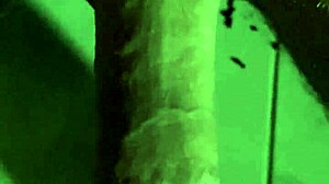 my newly trimmed pussy