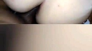 Novinha Safada Gemendo Gostoso de Quatro Anal