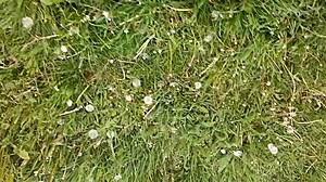 I masturbate my pussy during lunch break