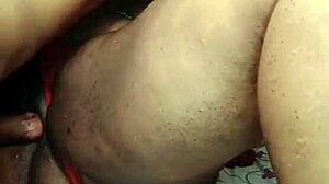 Nigarchrist Update 1447 Featuring Petal On June 17, 2025 With Hairless And Shaved Details