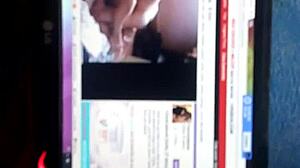 close-up paja in veracruz cyber cabins!