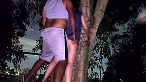 Transando em Público