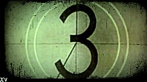 Bbc Fucks Bbw Pornstar From The Back