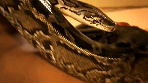 Dancing Erotic Style