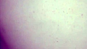 fucking young milf latina big ass in doggy