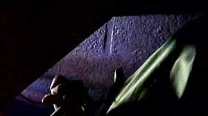 close-up paja in veracruz cyber cabins!