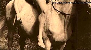 does dark lantern entertainment present vintage pussy riding?