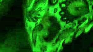 Big Ass With Natural Tits Squirting