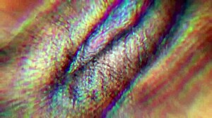 Energetic Newbie's Innocent Challenge Leads To Creampie