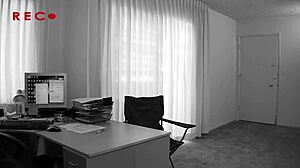 Nikki slurps big cock of Chris eagerly