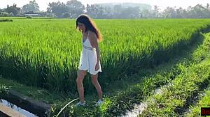 cute rice picker chooses sex payment for her work